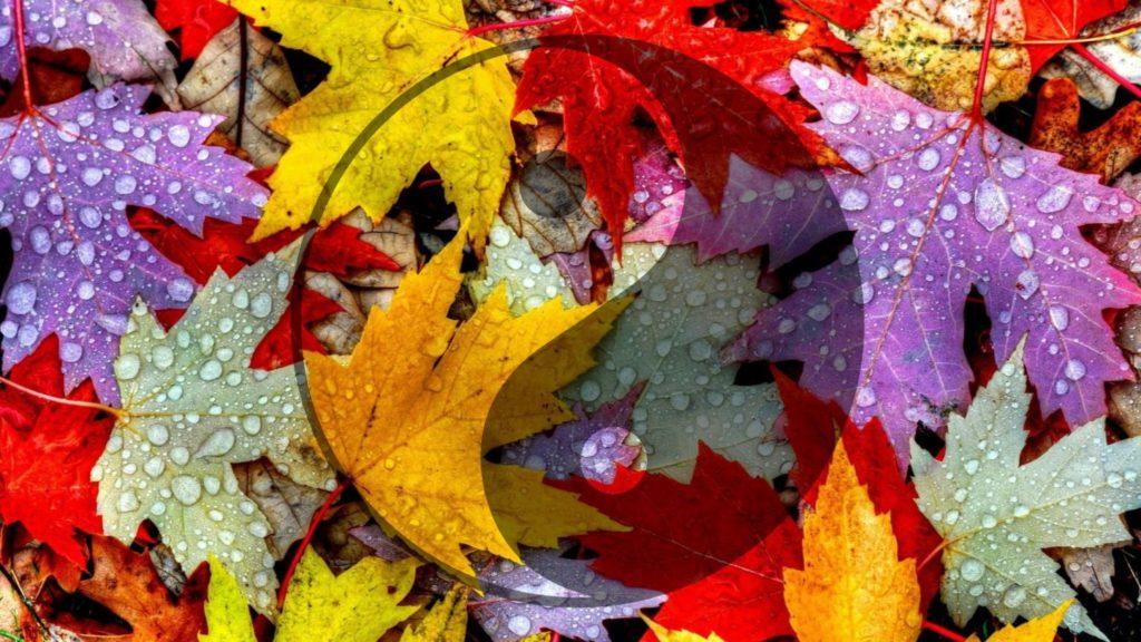 Autumn in Chinese Medicine 1 Chinese Medicine