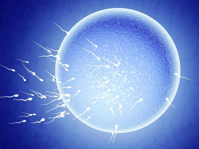 Male infertility 1 Sperm health e1568006038703