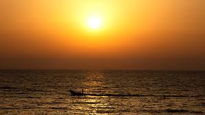 Summer Solstice 1 images
