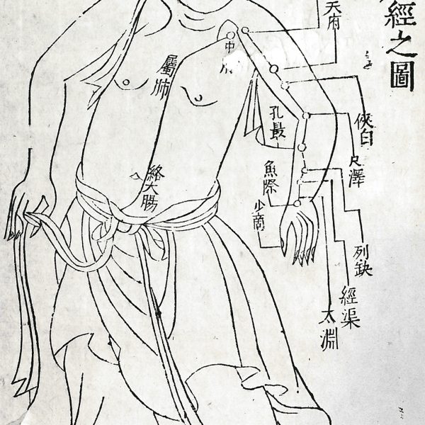 Acupuncture points manuscript Chinese Bibliotheque Nationale de