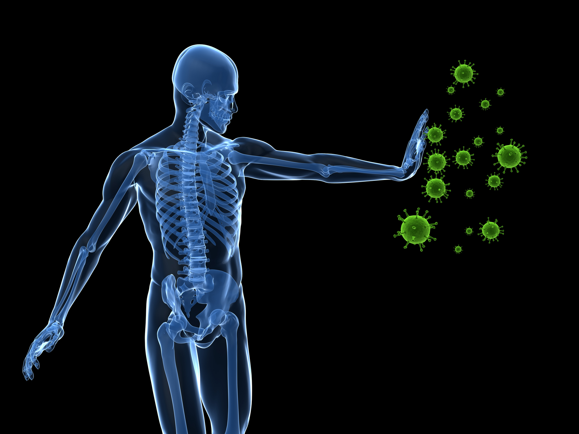 Supporting Your Immune System 1 boosting immune