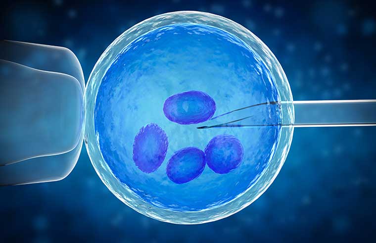 IVF and Acupuncture 1 ivf wide