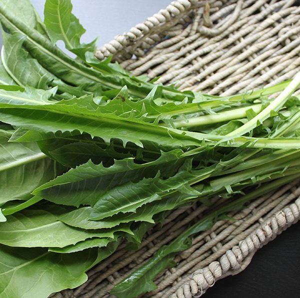 dandelion greens