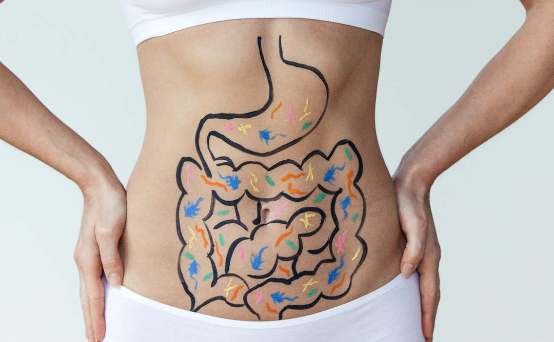 5 Ways To Improve Digestion 1 gut digestion