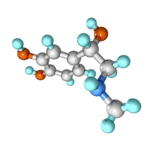 adrenaline hormone molecule laguna design
